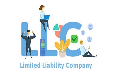 Limited-Liability-Company